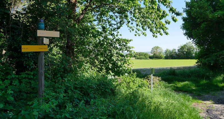 Achat / Vente immobilier neuf Rillieux-la-Pape au coeur du village de Vancia (69140) - Réf. 6093